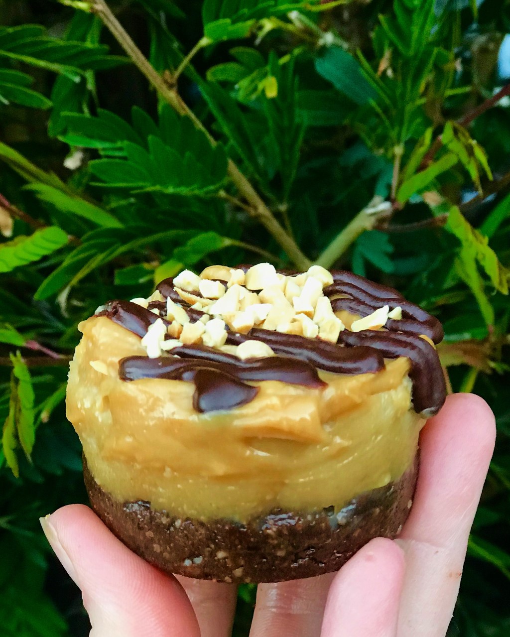Peanut Butter Protein Cheesecake with Peanut Butter Carmel&nbsp;Sauce